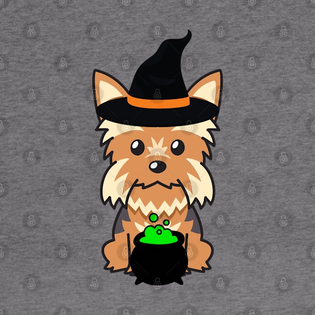 Cute yorkshire terrier dog is a witch by Pet Station